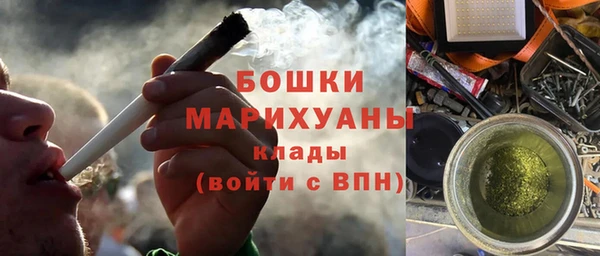 ГАЛЛЮЦИНОГЕННЫЕ ГРИБЫ Баксан